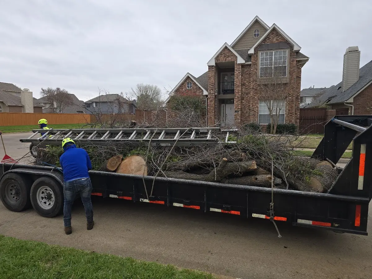 Expert Tree Pest Control with proper safety equipment in Botkins